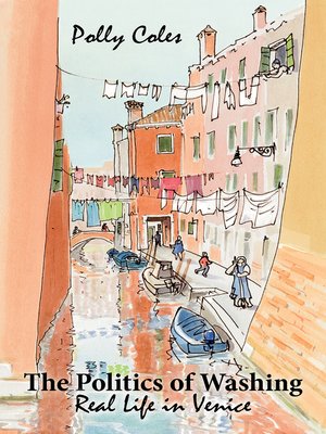 The Politics of Washing - ebook